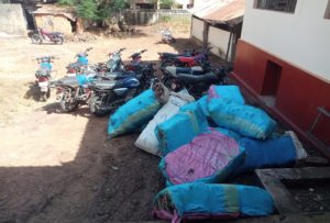 Mamou: 2,4 tonnes de chanvre indien saisies au lendemain de l'incinération de près de deux tonnes