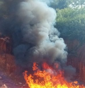 Mamou: 1850kg de chanvre indien incinérés