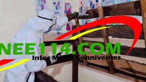 Lutte contre les punaises : l'ONG Tinkisso compte toucher 750 ménages à Conakry