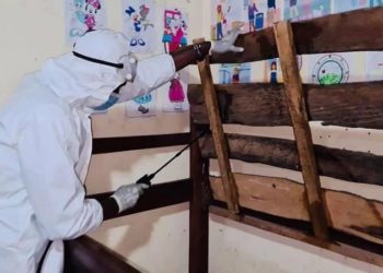 Lutte contre les punaises : l'ONG Tinkisso compte toucher 750 ménages à Conakry