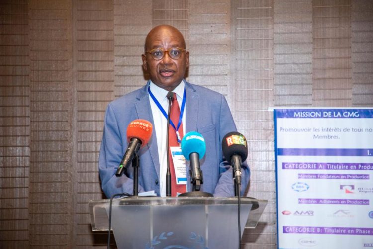 AG de la Chambre des mines de Guinée: malgré la Covid, 61% d'activités réalisées durant l'exercice 2020 