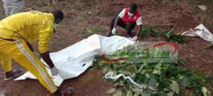 Accident à Faranah: une mère de huit enfants broyée par un camion à Tiro