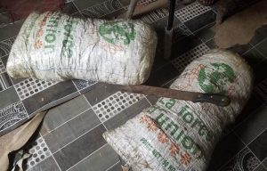 Dabola: Une importante quantité de chanvre indien saisie par la gendarmerie