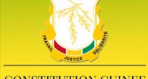 Contribution au projet de nouvelle constitution