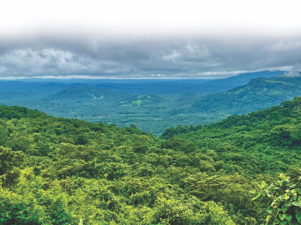Winning Consortium Simandou (WCS), China Baowu Steel Group et Shandong Weiqiao Pioneering Group ont participé à la cérémonie de signature d'un accord historique concernant le projet Simandou