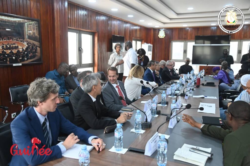 Censure des médias et d'internet en Guinée: les ambassadeurs occidentaux à Conakry aussi haussent le ton