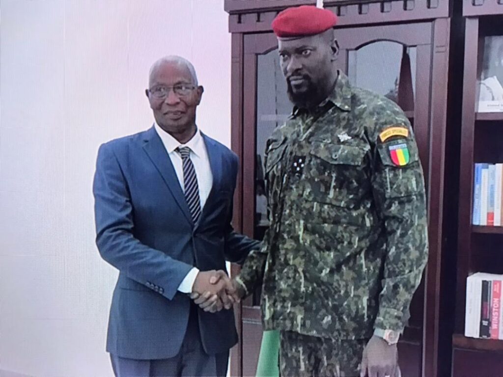 La structure du gouvernement Bah Oury dévoilée: 27 ministères deux Secrétariats généraux (Décret)