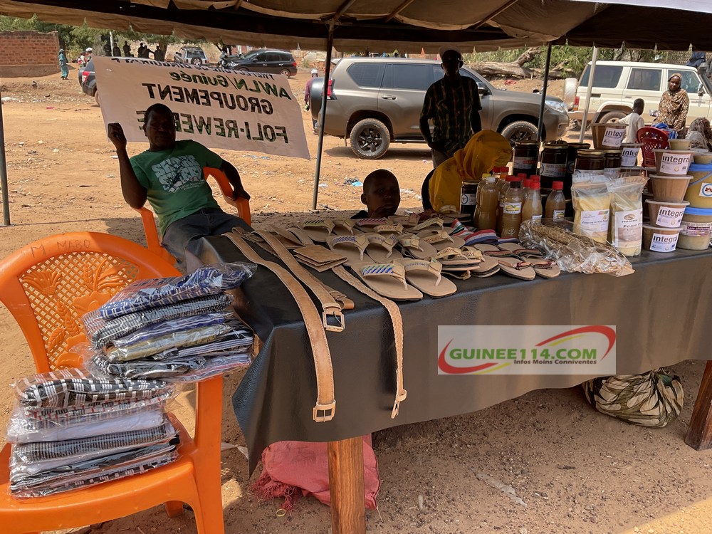 Dinguiraye: la ville d'Elhad Oumar Tall accueil les 72 heures du livre