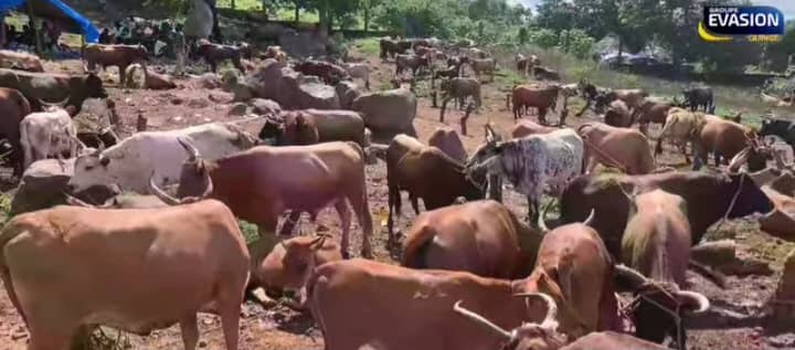 Marché hebdomadaire de M'Bonet : Le président du district appel l'État au secours
