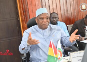 Accord migratoire Guinée-Allemagne : « Nous ne parlons pas de suspension » (Dr Morissanda)