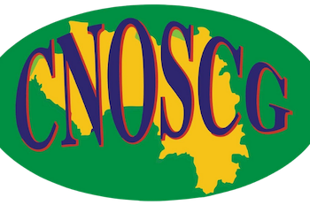 CNOSCG alerte sur les difficultés d’accès aux liquidités en Guinée