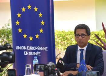 L'Union européenne «déplore la dissolution de 40 partis politiques» en Guinée