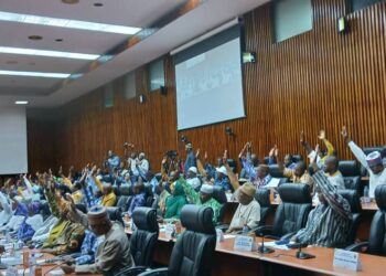 Simandou 2040 : le CNT adopte une loi de Plan 2026- 2040 et une loi-programme 2026-2030