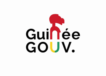 Guineegouv : Ousmane Gaoual Diallo apporte des précisions