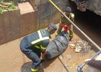 Crime à Kankan : Un homme tué, son corps retrouvé décapité