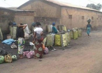 Conakry : le charbon de bois se fait rare, vendeurs et ménages sous pression