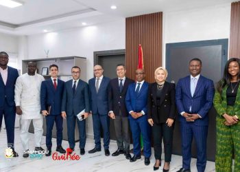 Guinée : routes, ponts, bâtiments, aéroports, eau et assainissement, une entreprise égyptienne reçue à Conakry