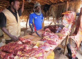 Labé : la boucherie centrale pourrait-elle rouvrir après un accord sur le prix ?