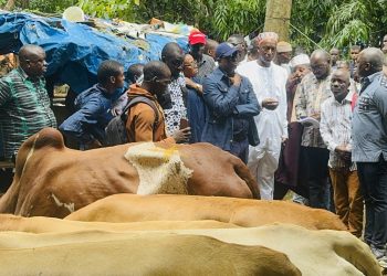 Visite des abattoirs: « Le constat n’est pas reluisant, mais il est plein d’espoir » (Ministre Alpha Bacar Barry)
