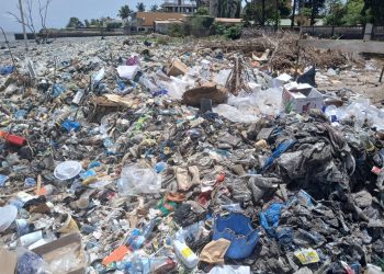 Utilisation des plastiques à usage unique : Les produits interdits et les produits autorisés