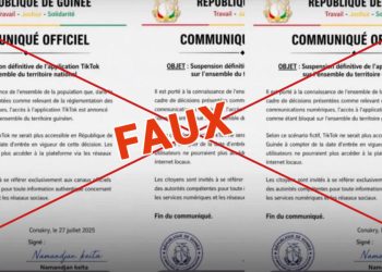 Faux documents en Guinée : deux individus interpellés par la police